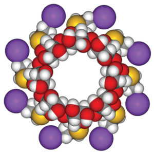 作者：Fvasconcellos（自行创作）[公共域]，来自 Wikimedia Commons。舒更葡糖钠的空间填充模型