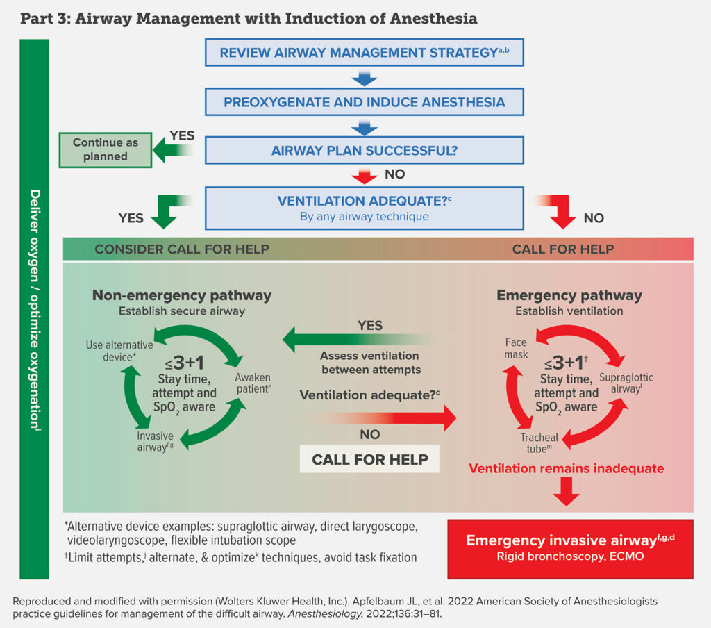 Figure 1, Part 3: Difficult Airway Infographic for Adult Patients.